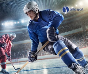 Blogposting Eishockey