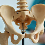 Fachsprechstunde Knie und Hüfte